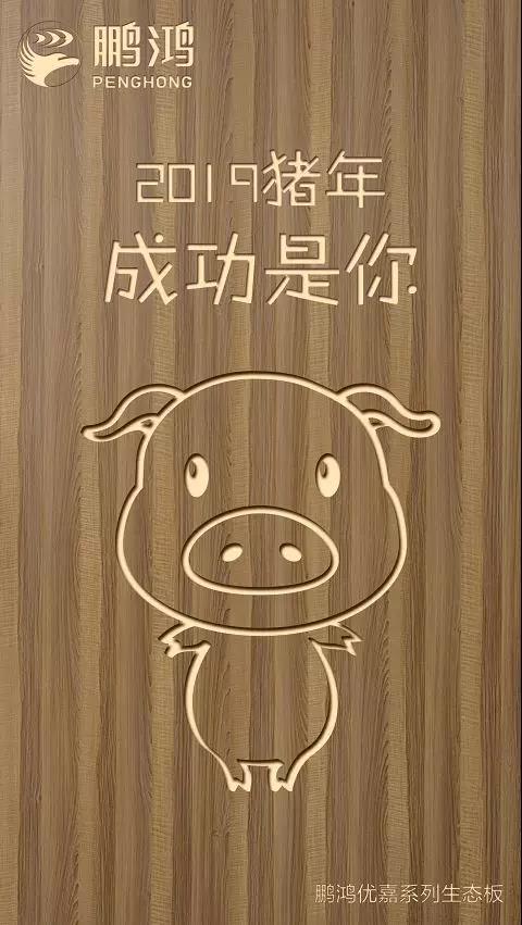 j9国际集团优嘉系列生态板