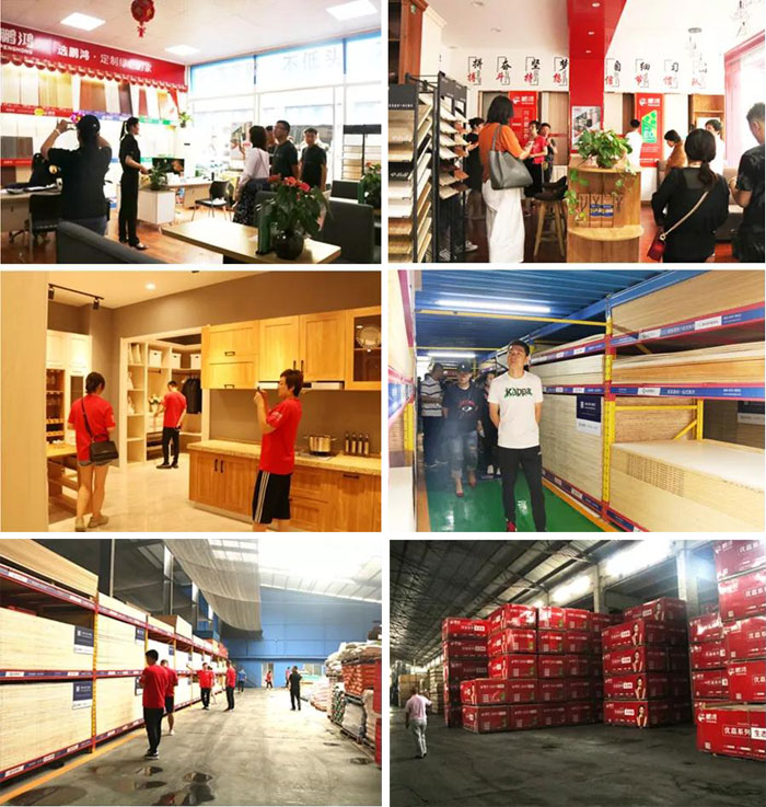 沈阳j9国际集团山东调查进建 沈阳j9国际集团山东调查进建