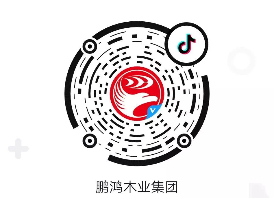 这厢有礼丨这个春节我最鸿，抖音相伴幸福年