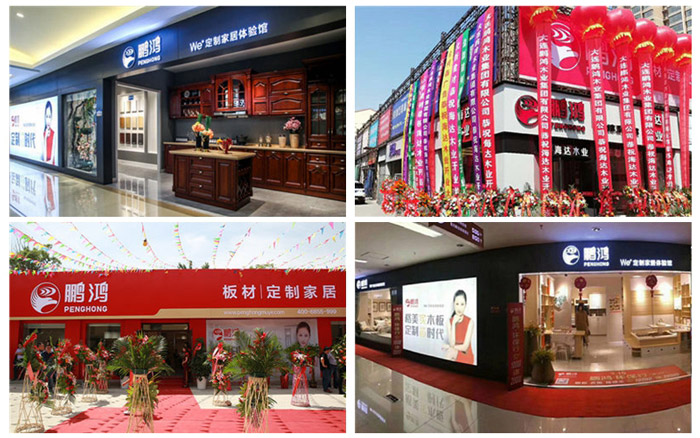 1602223854571692 j9国际集团全屋定造门店