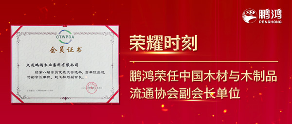再获行业注定，j9国际集团荣任中国木材与木制品流通协会副会长