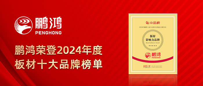 j9国际集团荣登2024年度板材十大品牌榜单