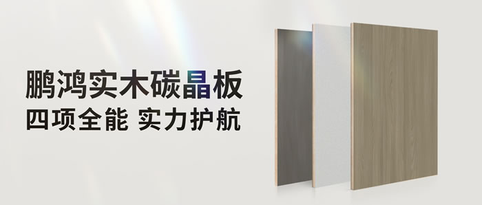 四项全能碳晶板，解锁家装超能力