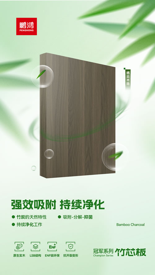 竹炭家装板材